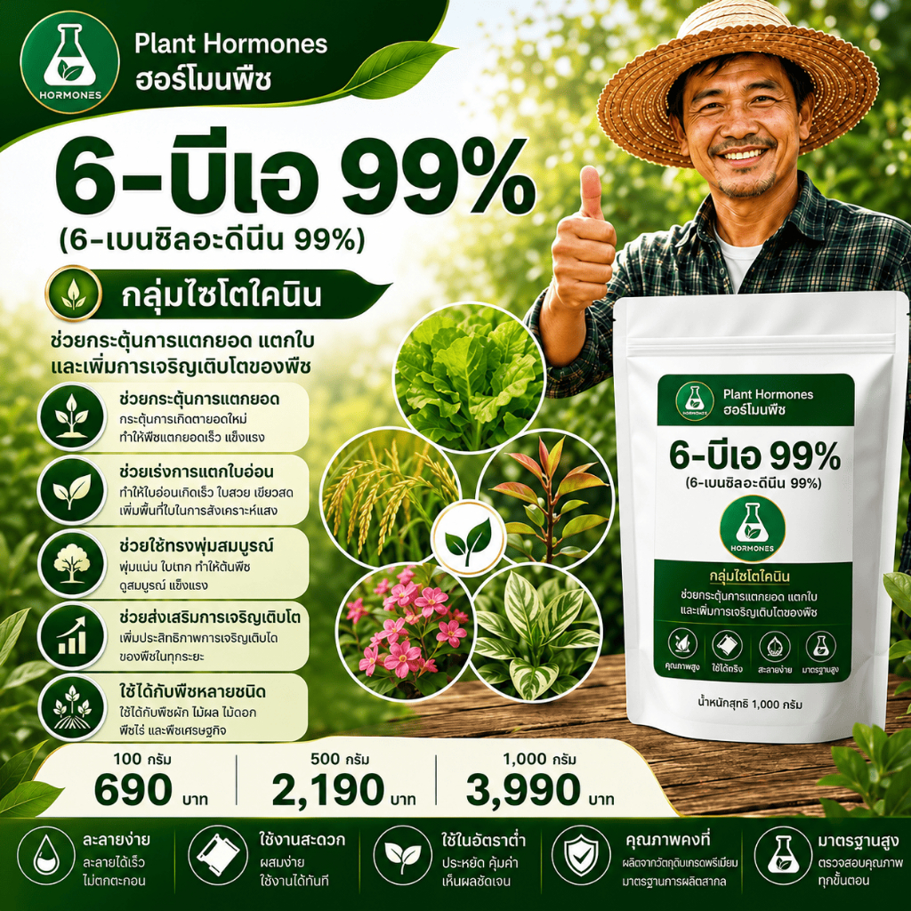 6-BA 99% TC 6-Benzylaminopurine 99% 1000 กรัม ไซโตไคนิน #6-BA #6-ba  #ไซโตไคนิน