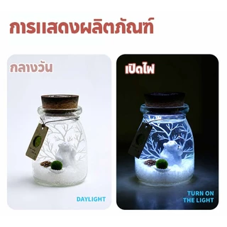 ✅พร้อมส่ง✅ เซ็ตมาริโมะ ส่งของทุกวันได้ของไว แถมฟรีวิตามินบำรุงและเกลือทะเล เหมาะสำหรับให้เป็นของขวัญสำหรับคนที่รัก