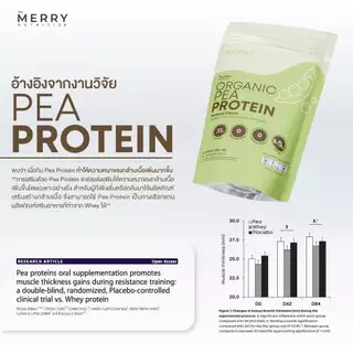 [ Pea 3 แถม แก้วเชค ] Merry Pea Protein Isolated แถม Merry Coffee 2 กล่องและ แก้วเชค THE MERRY[T2]