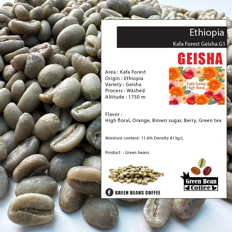 สารกาแฟ ETHIOPIA KAFA FOREST GEISHA " Washed Process " Green bean ขนาด 1,000 กรัม