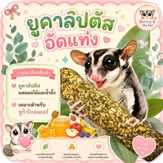 ยูคาลิปตัส อัดแท่งผสมผลไม้และน้ำผึ้ง ขนมชูการ์ไกลเดอร์