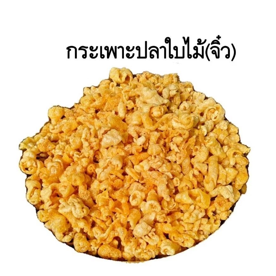 กระเพาะปลาใบไม้จิ๋ว กระเพาะปลาใบไม้ กระเพาะปลาแท้