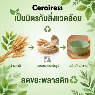 ชามฟางข้าวสาลี ชามข้าว สีชมพู ชามมาม่า ชามใหญ่ เข้าไมโครเวฟได้ ทนร้อน ตกไม่แตก Pack Set