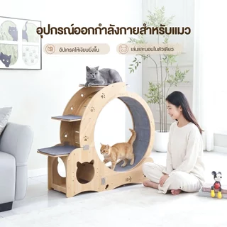 F&Gลู่วิ่งแมว Cat Track ลู่วิ่งแมวไม้ ล้อวิ่งหลายฟังก์ชัน มีพื้นที่ปีนป่าย การออกกำลังกายของแมว รับน้ำหนักได้สูงสุด80kg