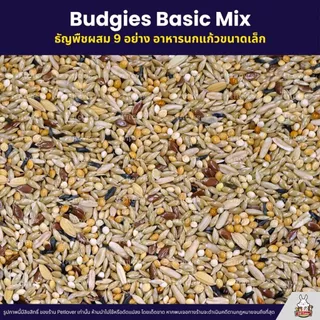 Petlover Budgies Basic อาหารนกแก้ว 9 ชนิด อาหารนกหงส์หยก ฟอพัส นกแก้วขนาดเล็ก (แบ่งขาย 500G / 1KG)