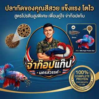 อาหารปลาโปรตีนสูง100%สำหรับปลาดขนาดเล็ก