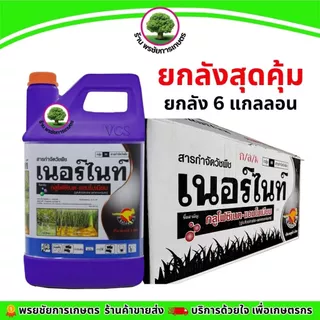 (โปร) เนอร์ไนท์(ม่วง-ยกลัง) ขนาด 4 ลิตร*6แกลลอน