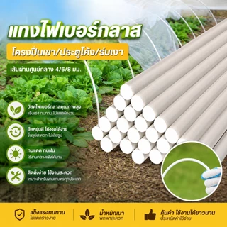เส้นผ่านศูนย์กลาง 4/6/8 มม. (แท่งกลมตัน)GLASS FIBER TUBE 120/150/180cm ไม้ค้ำต้นไม้ แพ็คละ10ชิ้น
