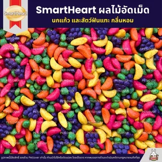 (5KG/10KG) SmartHeart ผลไม้อัดเม็ด อาหารนกแก้ว และสัตว์ฟันแทะทุกชนิด