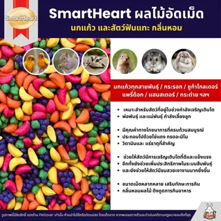 (5KG/10KG) SmartHeart ผลไม้อัดเม็ด อาหารนกแก้ว และสัตว์ฟันแทะทุกชนิด
