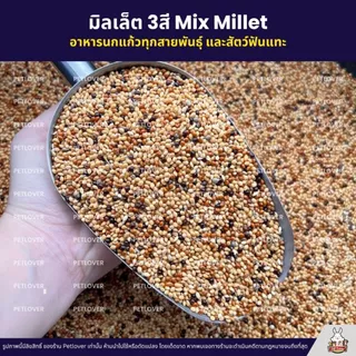 (5KG/10KG) มิลเล็ต 3สี Mix Millet เกรด A อาหารนกเขาเล็ก นกแก้ว และสัตว์ฟันแทะ ใหม่ สด สะอาด ร่อนฝุ่นทุกถุง