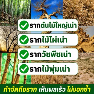 🌲ยาฆ่าต้นไม้ใหญ ยาฆ่าหญ้า รากเน่ารากไม่ขึ้นอีก ยาฆ่าตอไม้ สารกําจัดกอไผ่ แบบผง สานกำจัดกอไผ่ วัชพืช