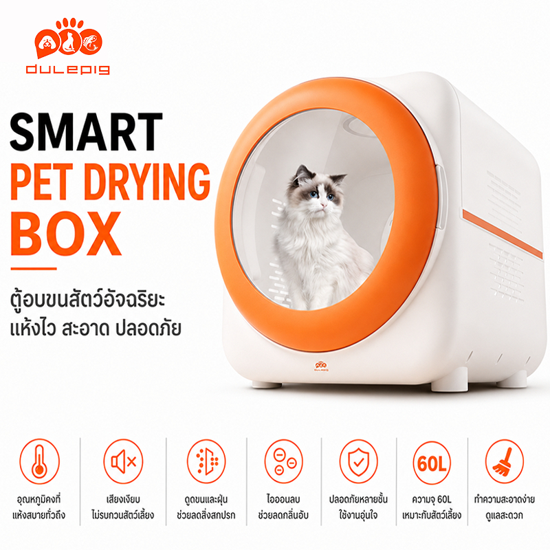 ตู้เป่า ขนสัตว์เลี้ยง Pet Dryer Room กล่องอบแห้งสัตว์เลี้ยง ขนาดใหญ่ 60L เป่าแห้งเร็ว เป่าขนแมว เครื่องเป่าขนสัตว์เลี้ยง