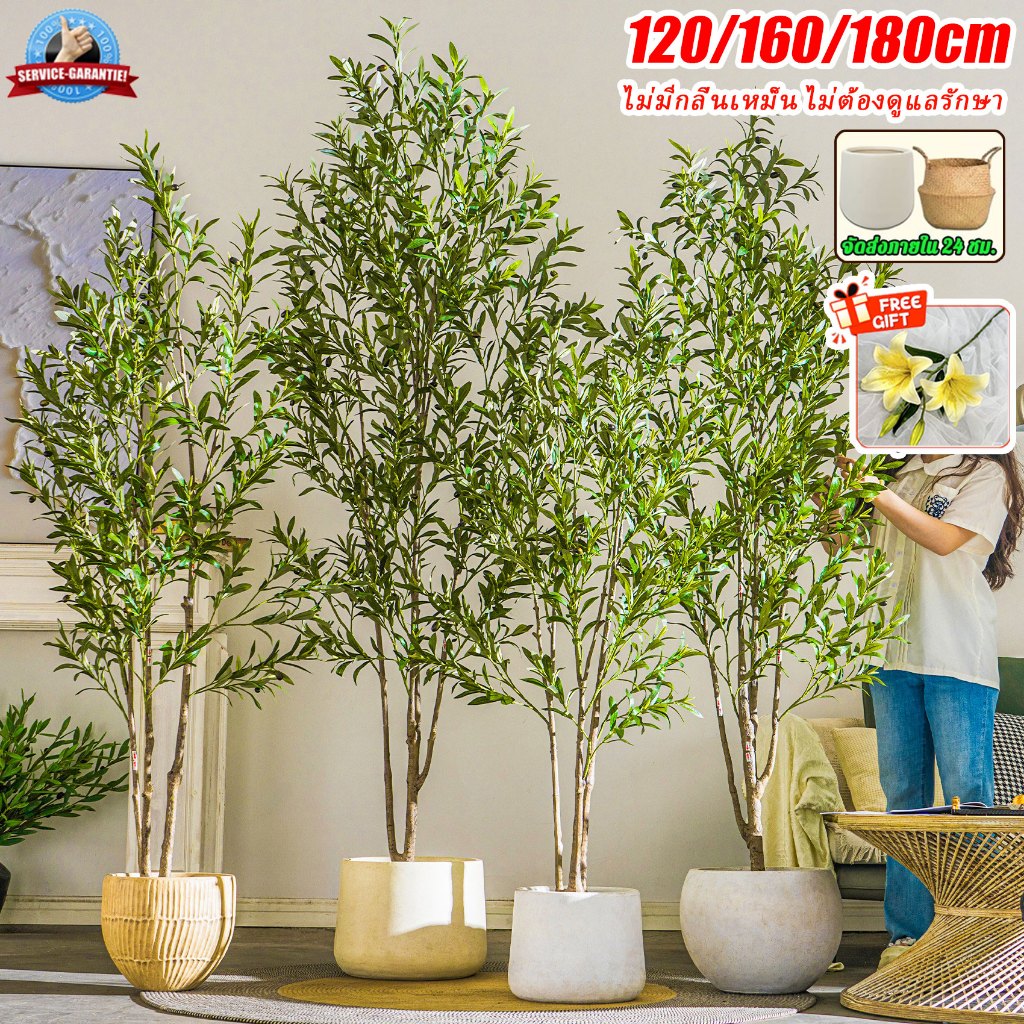 【ซื้อ 1 แถม 1】 ต้นมะกอกปลอม ต้นไม้ปลอม ต้นไม้ปลอมใหญ่ 120/150/180cm ความจำลอง 99% สำหรับตกแต่งบ้านและสว