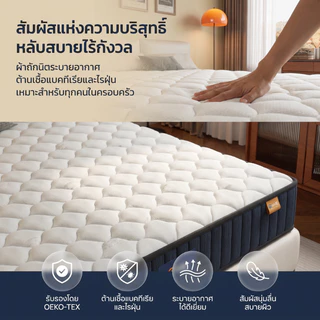 GreaMe ที่นอนสปริงหนา 8 นิ้ว ขนาด 3.5/5/6 ฟุต นุ่มกำลังดี รองรับกระดูกสันหลัง ป้องกันปวดหลัง