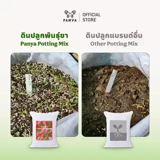 [แพคสุดคุ้ม] - ดินพร้อมปลูก 10,15,20 kg เกรดพรีเมียม 100%ออร์แกนิก (Organic Potting Soil) ระบายน้ำดี เหมาะกับพืชทุกชนิด