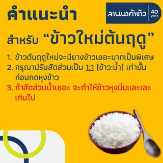 <ข้าวไดโนเสาร์​><นอกLIVE> ข้าวหอมมะลิ 100% (ใหม่ต้นฤดู/เก่า/ข้าวกล้อง) 5/15กก.