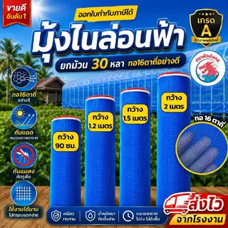 มุ้งไนล่อน 16ตาถี่ (1ม้วน) กว้าง 90-200ซม. ยาว 30หลา ผ้าลาน ผ้าลี่ กระชัง มุ้งเขียว กันแมลง เกรด A