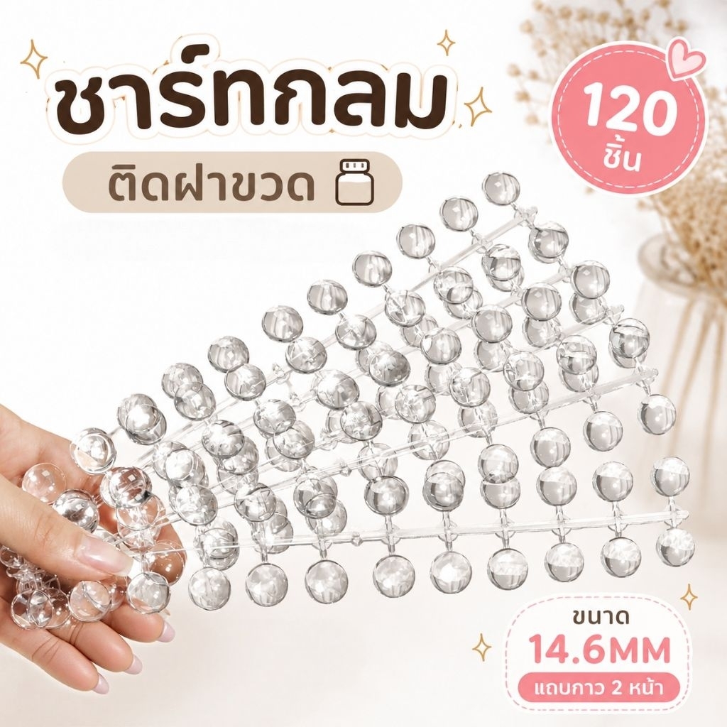 ชาร์ทกลมติดฝาขวด​ สำหรับโชว์สี  120 ชิ้น แถมกาว