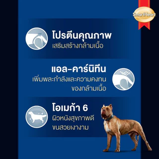 [ส่งด่วน กระสอบ] Smartheart Power Pack อาหารสุนัข อาหารเม็ด สุนัขโต ลูกสุนัข พลังงานเยอะ พันธุ์ กลาง ใหญ่ ขนาด 10 kg