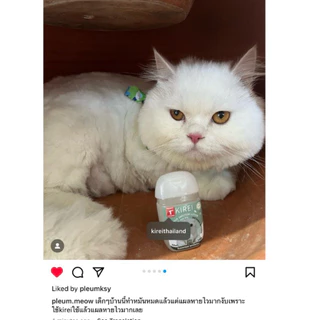 ส่งด่วนใน2ชม โลชั่นดูแลผิวสำหรับสัตว์เลี้ยง เชื้อรา แผลตามในรูป ไม่เห็นลัพธ์ยินดีคืนเงินใน14 วัน