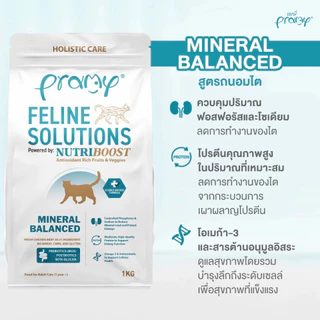 [สูตรเฉพาะทาง] Pramy Feline Solutions อาหารแมวสูตรเฉพาะทาง พัฒนาโดยสัตวแพทย์ ขนาด 1 kg