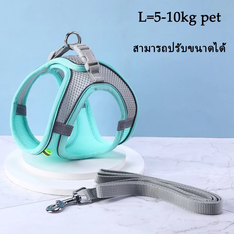 ของขวัญลึกลับฟรี🎁ฟรีของขวัญสุ่ม（จำกัด 100 สำเนา）สินค้าอุปกรณ์สำหรับสัตว์เลี้ยง thumbnail 10