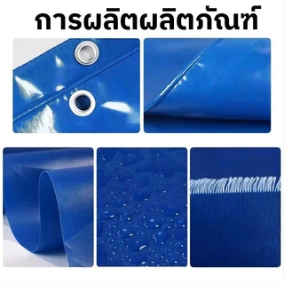 【ฟรีชุดท่อระบายน้ำ】กระชังบก กระชังบกตอกตาไก่ ผ้าใบกระชังบกเกรด เลี้ยงปลา ปู กุ้ง หอย ความสูงของกรง 60,80 ซม
