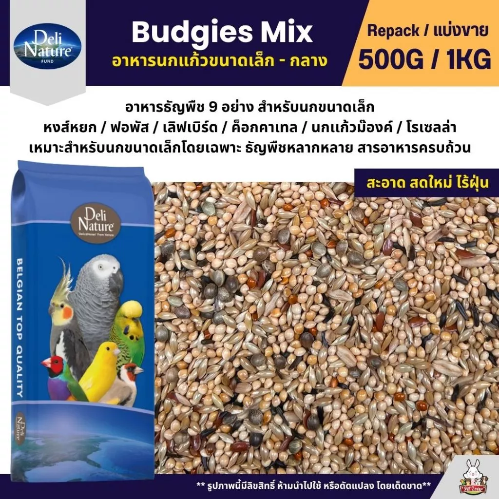 Deli Nature ธัญพืช 9 อย่าง อาหารนกแก้ว นกหงส์หยก และนกแก้วขนาดเล็ก (แบ่งขาย 500G / 1KG)