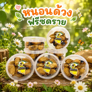 🥥🐛 ดวงสาคู หนอนแว๊กซ์ ด้วงมะพร้าว หนอนด้วง ฟรีซดราย ด้วงอบแห้ง สำหรับสัตว์เลี้ยง ชูการ์ กระรอก แฮมสเตอร์ บุชเบบี้
