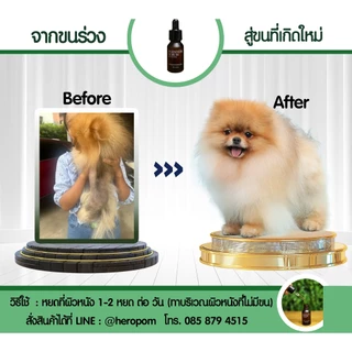 Pointon serum - เซรั่มปลูกขนสุนัข(ไม่มีกล่อง) M
