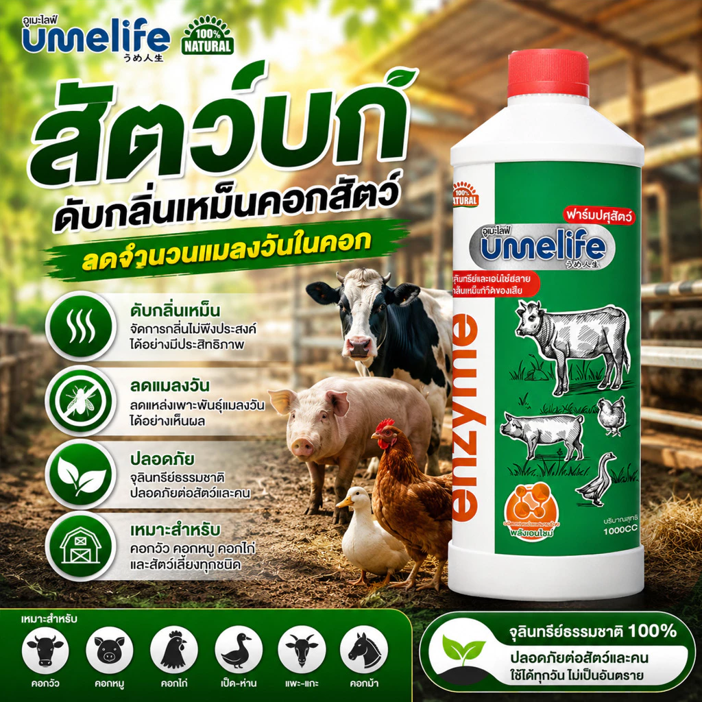 อูเมะไลฟ์ ปศุสัตว์ 1000cc จุลินทรีย์คอกสัตว์ น้ำยาดับกลิ่นเหม็นสัตว์ ลดแมลงวันในคอกสัตว์ คอกวัว.