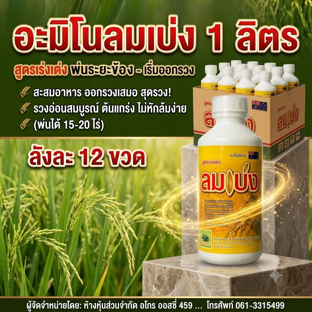 ฮอร์โมนอะมิโนลมเบ่ง (ยกลัง12ขวด) บรรจุ1 ลิตร พ่นข้าวระยะรับท้อง-กลัดหางปลาทู