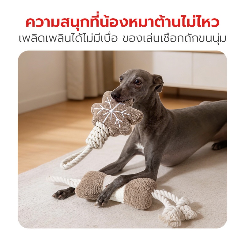 Petstar حبل قطني لعض الكلاب وتنظيف الأسنان — صورة 2