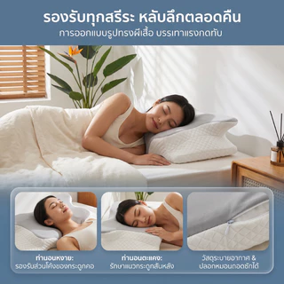 หมอนผีเสื้อ เมมโมรี่โฟมเพื่อสุขภาพ ดีไซน์สรีรศาสตร์ รองรับคอบ่า ลดปวดคอ นุ่มระบายอากาศ