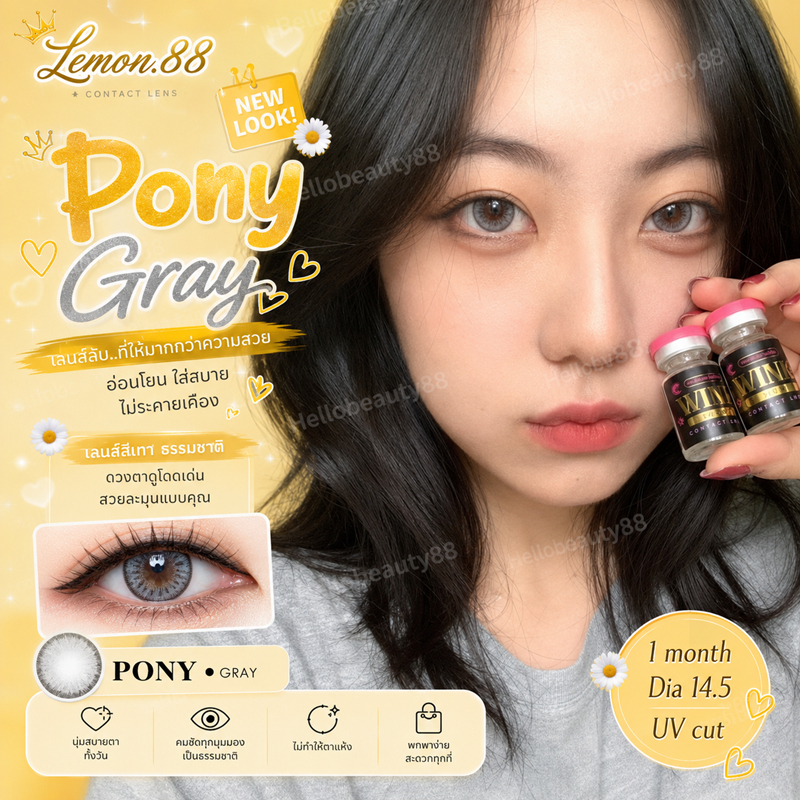 มีค่าสายตา Wink Pony Gray Brown บิ๊กอาย สุดปัง คอนแทคเลนส์ รายเดือน มีอย แถมตลับฟรี เลนส์นิ่ม สวยปังมาก