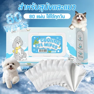 PetStern Cool Wipes ทิชชู่เปียกสัตว์เลี้ยง กลิ่นมินต์ ทิชชู่เปียก สูตรเย็น สำหรับเช็ดสัตว์เลี้ยง ลดอุณหภูมิ 80 แผ่น