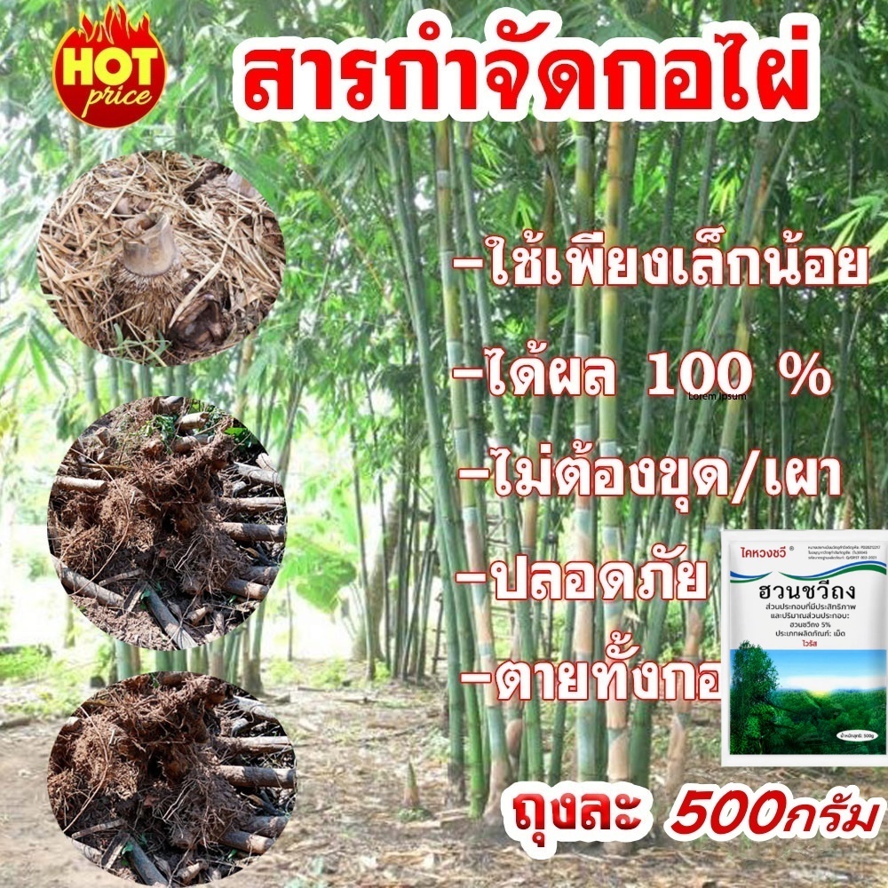 ตรงไปที่ราก!! ยากำจัดต้นไม้ สารกำจัดกอไผ่ ผงกำจัดต้นไผ่ ยาฆ่าตอไม้ 500g สูตรเข้มข้น กำจัดวัชพืชรากเน่า ผลติดทนนาน