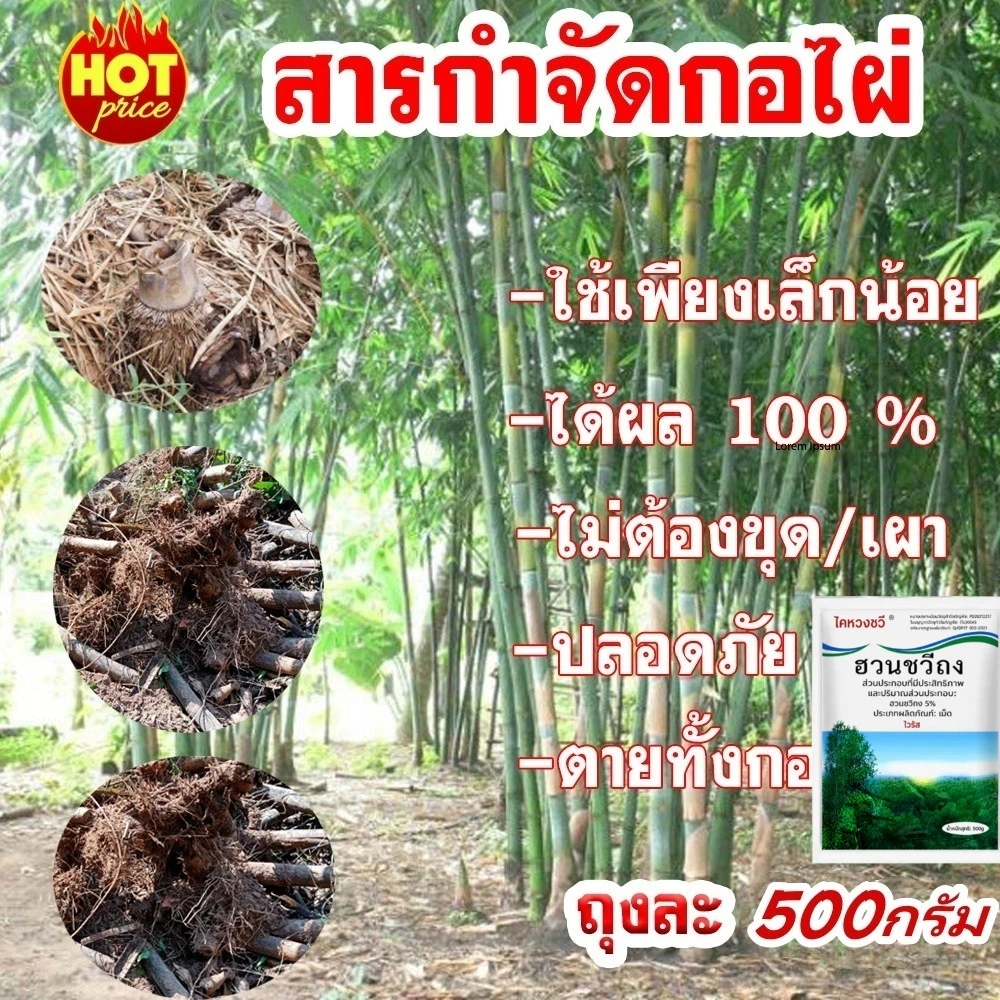 ตรงไปที่ราก!! ยากำจัดต้นไม้ สารกำจัดกอไผ่ ผงกำจัดต้นไผ่ ยาฆ่าตอไม้ 500g สูตรเข้มข้น กำจัดวัชพืชรากเน่า ผลติดทนนาน