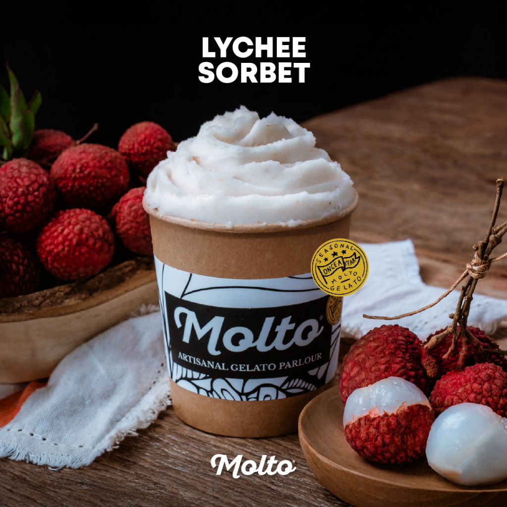 Lychee Sorbet (ไอศกรีม ลิ้นจี่ 1 ถ้วย 16 oz.) - Molto premium Gelato