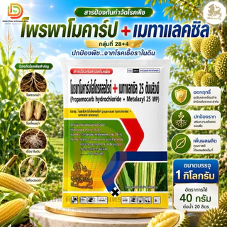 โพรพาโมคาร์บ+เมทาแลกซิล ขนาด 1 kg สารป้องกันกำจัดโรคพืช ใบไหม้ รากเน่า โคนเน่า ไฟท็อป ตราสิงห์ไท