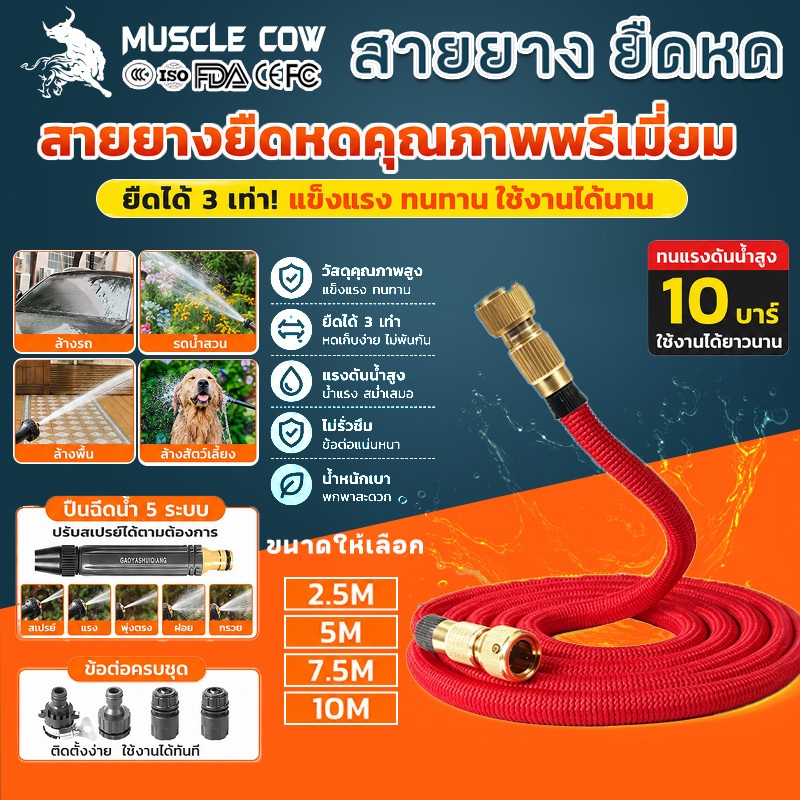 MUSCLE COW ชุดสายยางยืดหด 2.5/5/7.5/10เมตร ปรับระดับน้ำได้ ล้างรถ ล้างพื้น รดน้ำ