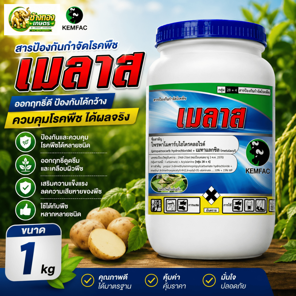 เมลาส ขนาด 1ลิตร โพพาโมคาร์บ + เมทาแลกซิล เคมแฟค