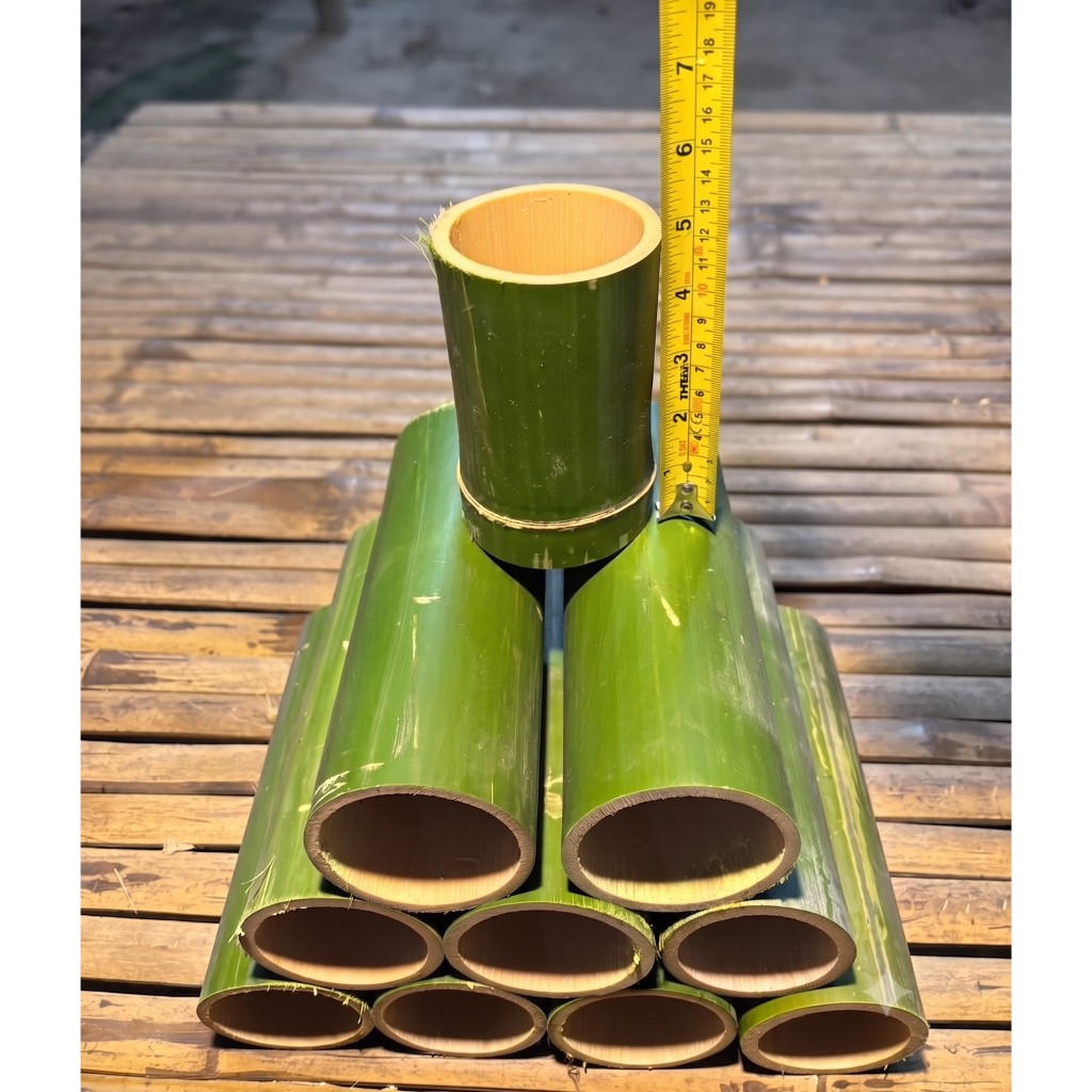 กระบอกข้าวหลาม 10 กระบอก ขนาด 3-5 นิ้ว มีกลิ่นหอมของไม้ไผ่อ่อนๆ ตัดสดใหม่ทุกวันตามออเดอร์