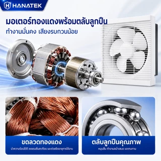 พัดลมระบายอากาศติดผนัง พัดลมดูดอากาศ 8/10/12 นิ้ว ระบายอากาศได้ดี สำหรับห้องน้ำ ห้องครัว