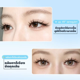 ใหม่ Dreehalo ขนตาปลอมลุคใสธรรมชาติ เบาสบาย ตาโตละมุน เหมาะสำหรับคนตาเล็ก ตาชั้นเดียว ตาบวม เปลือกตาหนา รุ่น F316