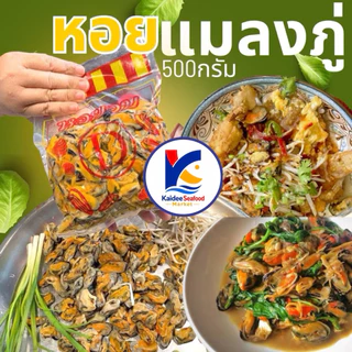 หอยแมลงภู่ อบไอน้ำสด 🦪🫧 500กรัม เนื้อหอยแมลงภู่ หอยอบไอน้ำ หอย แมลงภู่ 🚛เหมาค่าส่ง ฟรีกล่องโฟม!! ทุกจังหวัดทั่วไทย🎉