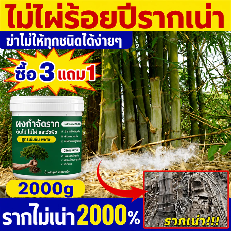 🛡️100% รากไม้เน่า ยาฆ่าต้นไม้ใหญ ยาฆ่าตอไม้ สารกำจัดกอไผ่ ตรงไปที่ราก กำจัดวัชพืชรากเน่า ขนาด 500g