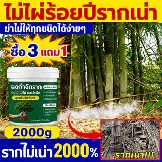 🛡️100% รากไม้เน่า ยาฆ่าต้นไม้ใหญ ยาฆ่าตอไม้ สารกำจัดกอไผ่ ตรงไปที่ราก กำจัดวัชพืชรากเน่า ขนาด 500g