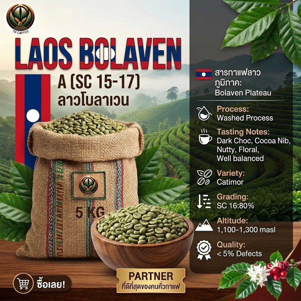 สารกาแฟ 5kg Laos Bolaven A SC 15-17 อราบิก้า/Washed สั่งซื้อเกิน 20kg. ทักแชท เมล็ดกาแฟดิบ กาแฟดิบ